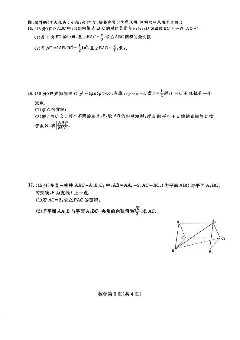 四川省2025届高三第一次教学质量联合测评数学试题（含答案）第3页