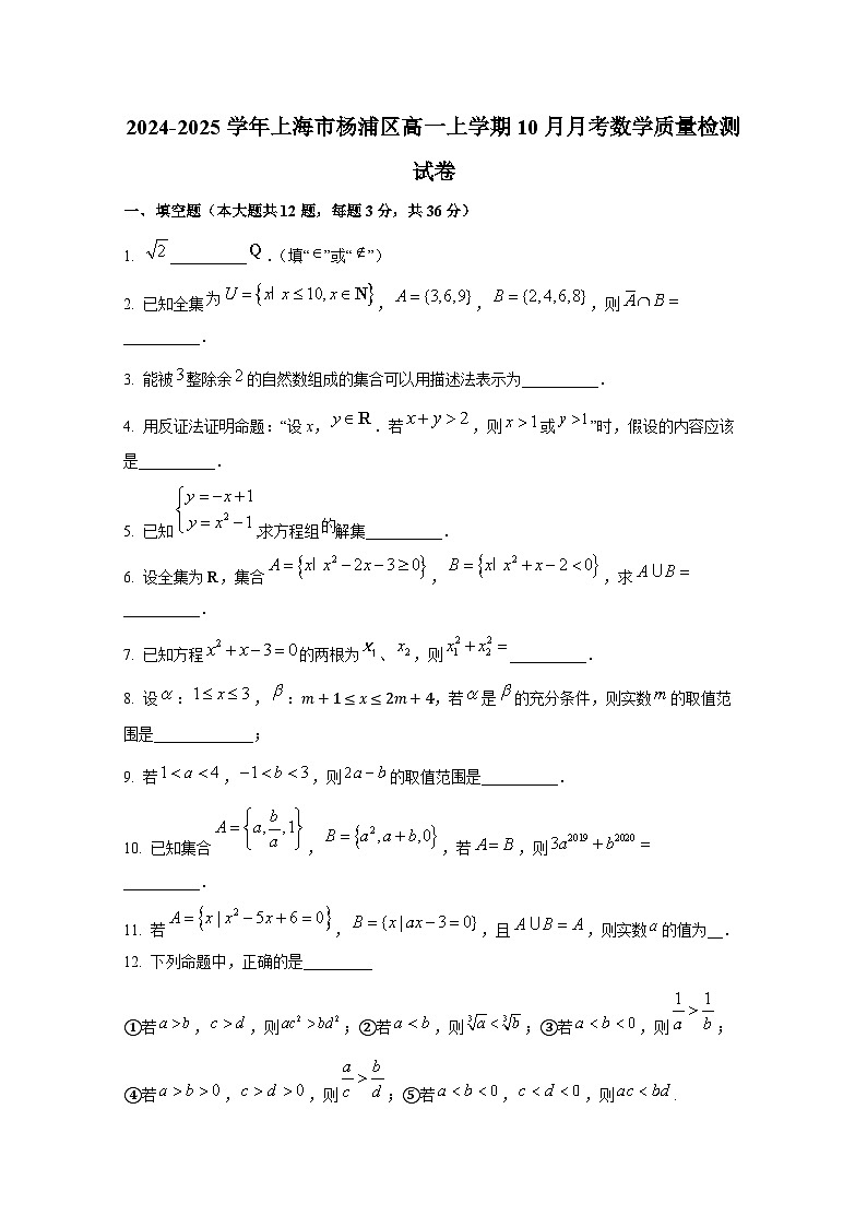 2024-2025学年上海市杨浦区高一上册10月月考数学质量检测试卷第1页