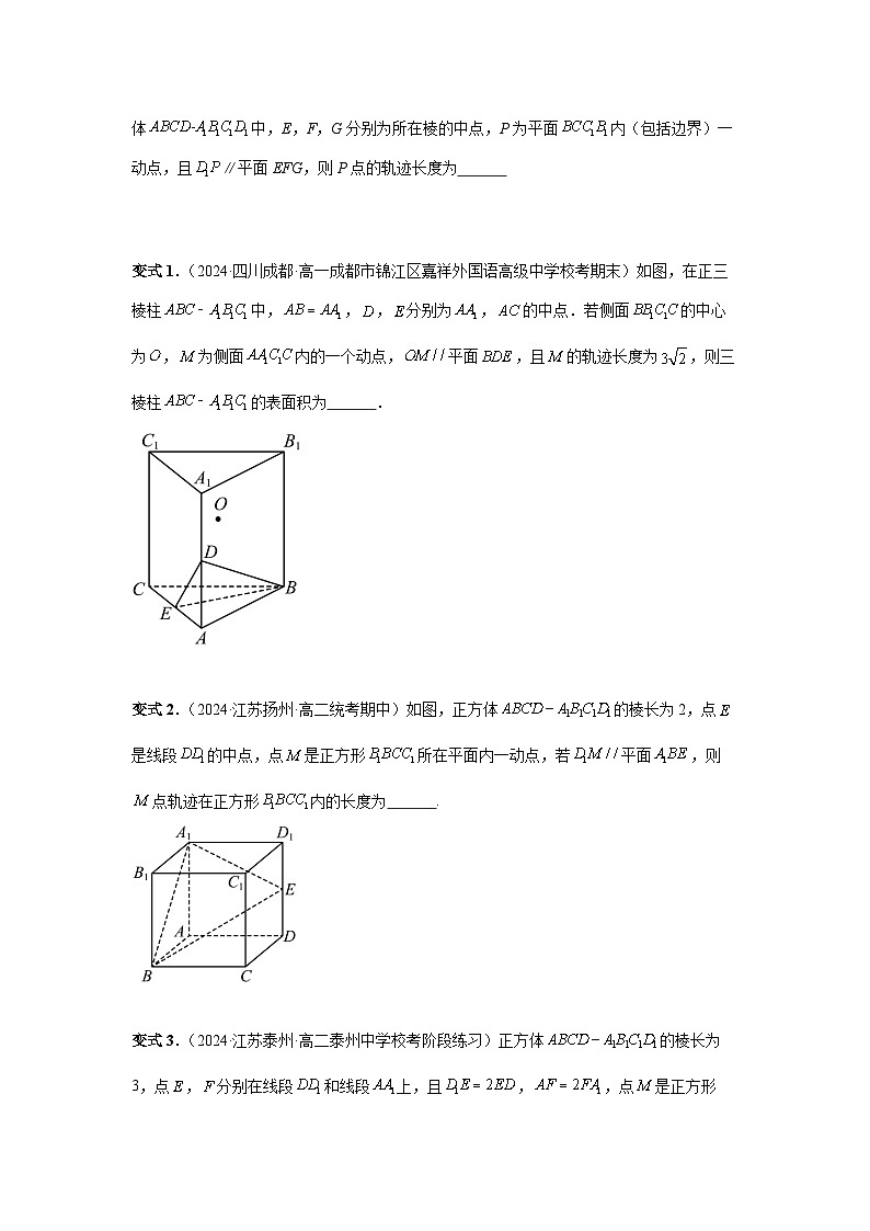 2025年高考数学核心考点归纳第52讲、立体几何中的轨迹问题特训(学生版+解析)第2页