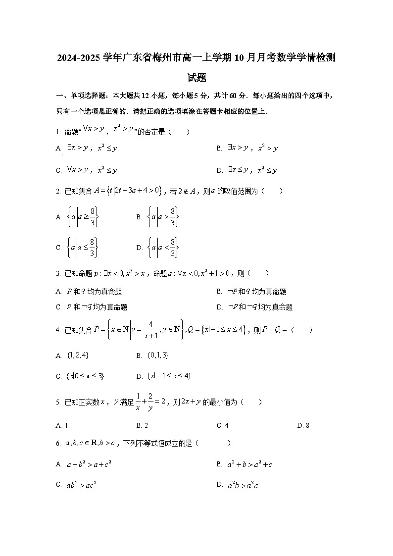 2024-2025学年广东省梅州市高一上册10月月考数学学情检测试题第1页
