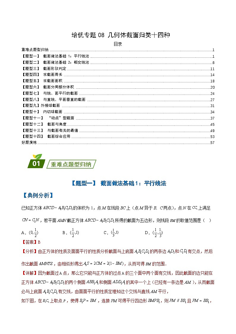 新高考数学三轮冲刺练习培优专题08 几何体截面归类十四种（解析版）第1页