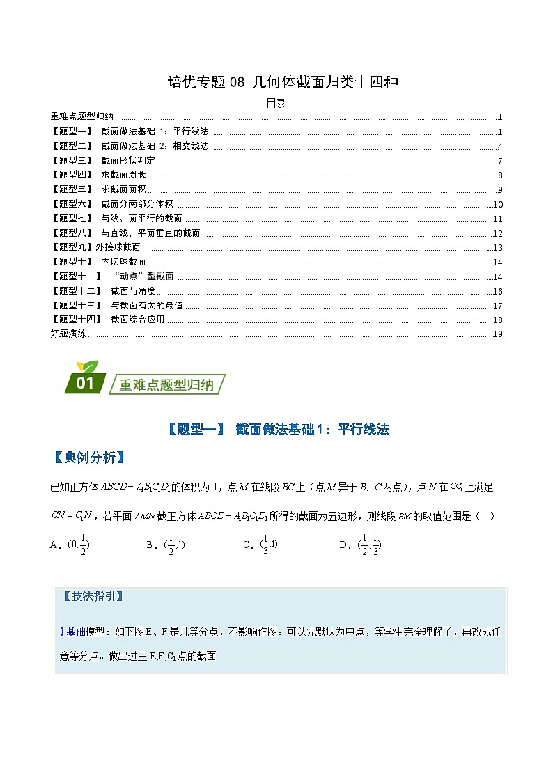 新高考数学三轮冲刺练习培优专题08 几何体截面归类十四种（原卷版）第1页