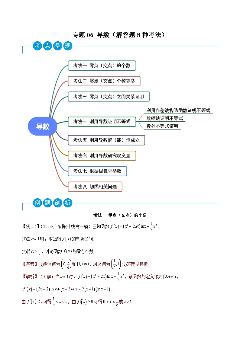 新高考数学二轮复习考法分类训练专题06 导数（解答题8种考法）（解析版）第1页