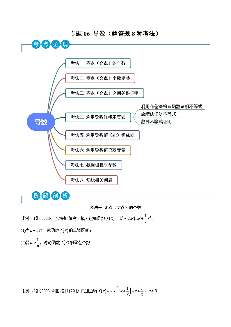 新高考数学二轮复习考法分类训练专题06 导数（解答题8种考法）（原卷版）第1页