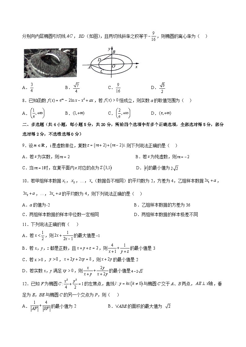 新高考数学适应性模拟试卷06（原卷版）第2页