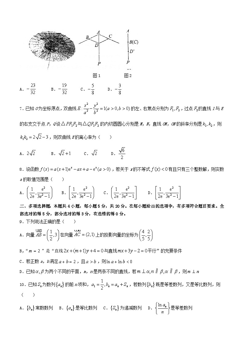 福建省福州市2023_2024学年高三数学上学期期末考试试题无答案第2页