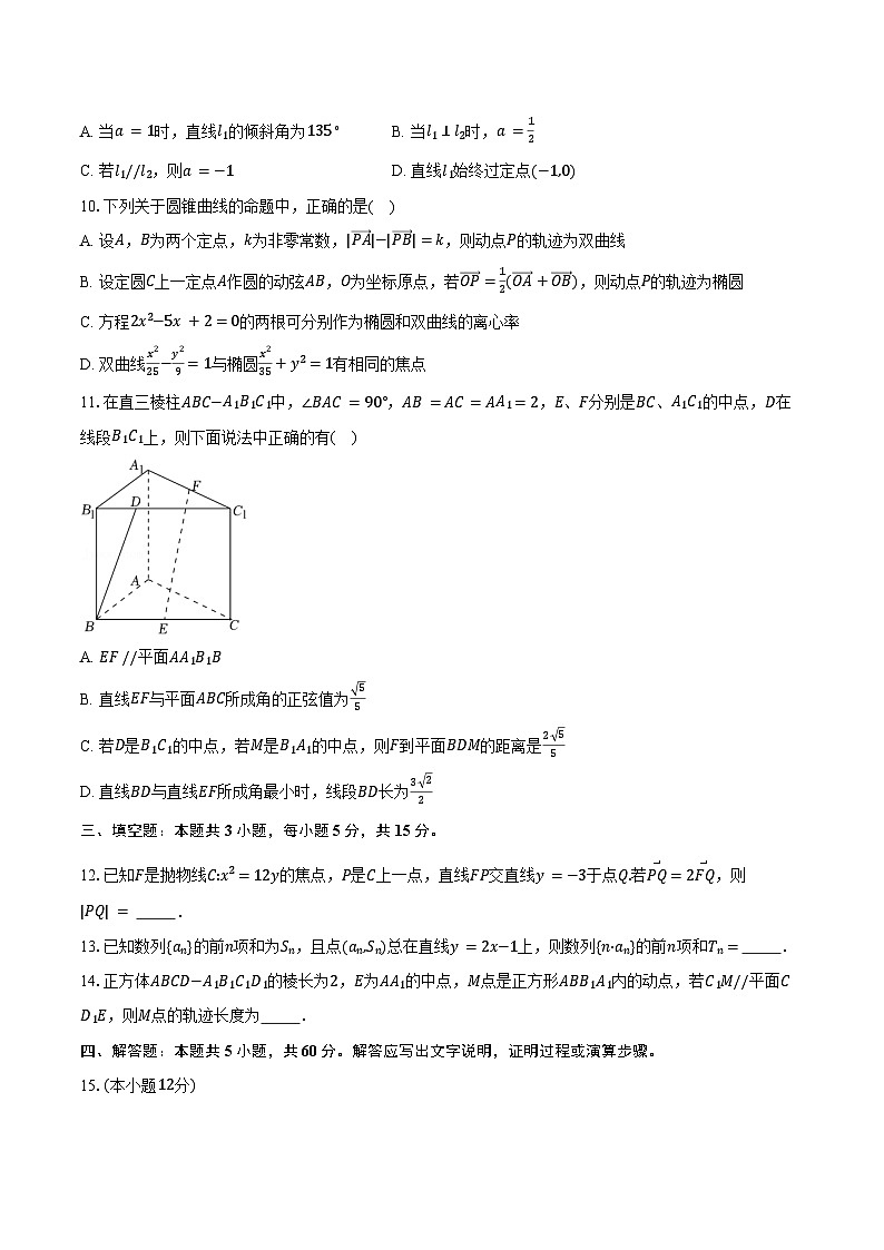 2024-2025学年安徽省铜陵市第一中学高二上学期期末质量检测数学试卷（含答案）第2页