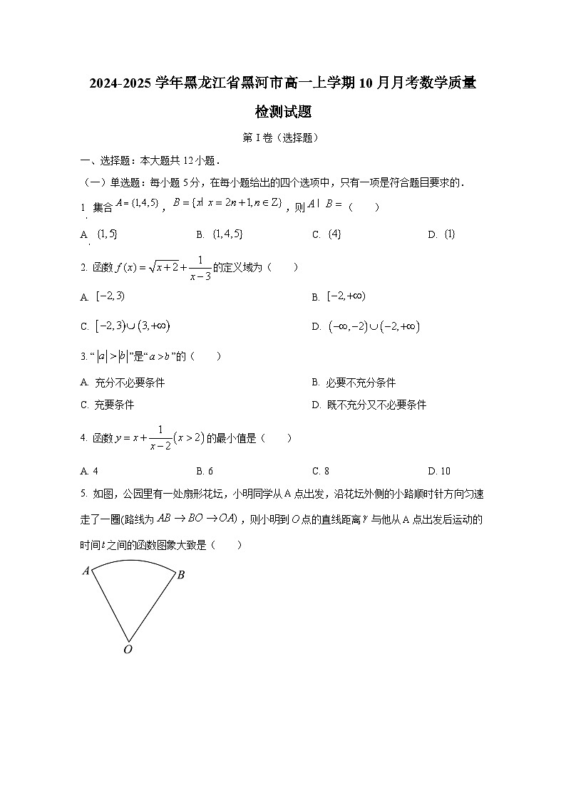 2024-2025学年黑龙江省黑河市高一上册10月月考数学质量检测试题第1页