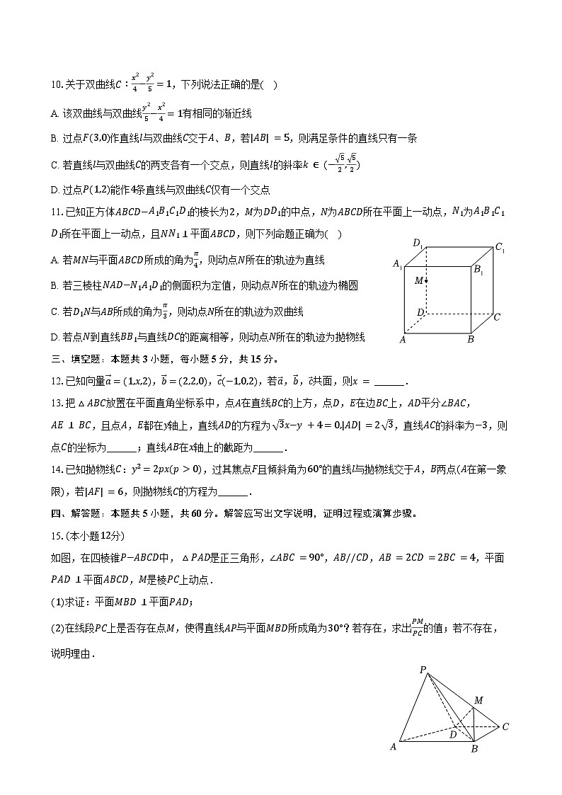 2024-2025学年山东省泰安某高中高二（上）期末数学试卷（含答案）第2页