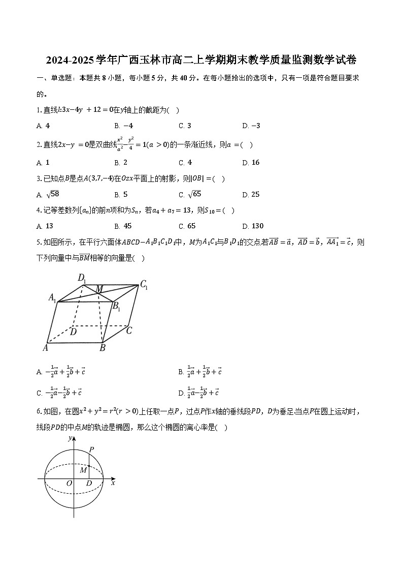 2024-2025学年广西玉林市高二上学期期末教学质量监测数学试卷（含答案）第1页