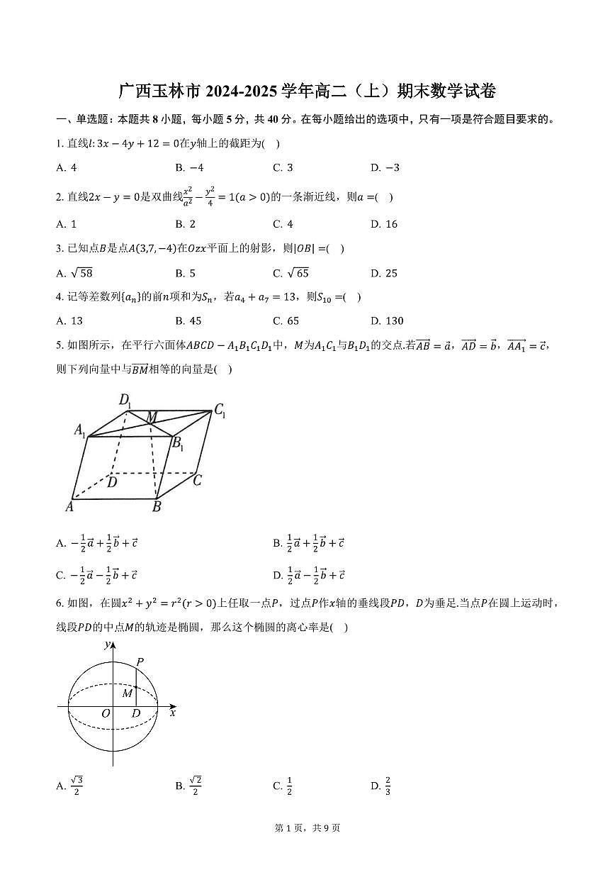 广西玉林市2024-2025学年高二（上）期末数学试卷（含答案）第1页
