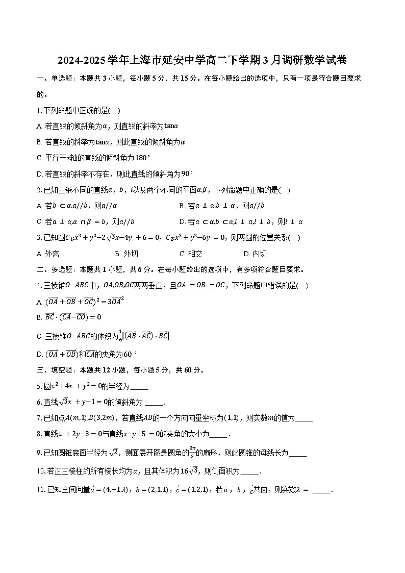 2024-2025学年上海市延安中学高二下学期3月调研数学试卷（含答案）第1页