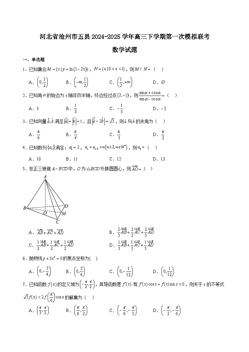 河北省沧州市五县2025届高三下学期3月第一次模拟联考试题 数学 含解析第1页
