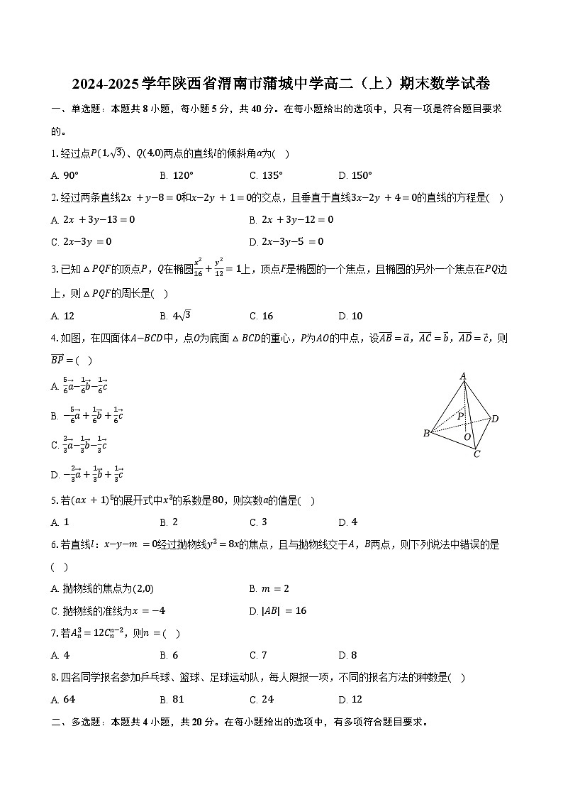2024-2025学年陕西省渭南市蒲城中学高二（上）期末数学试卷（含答案）第1页