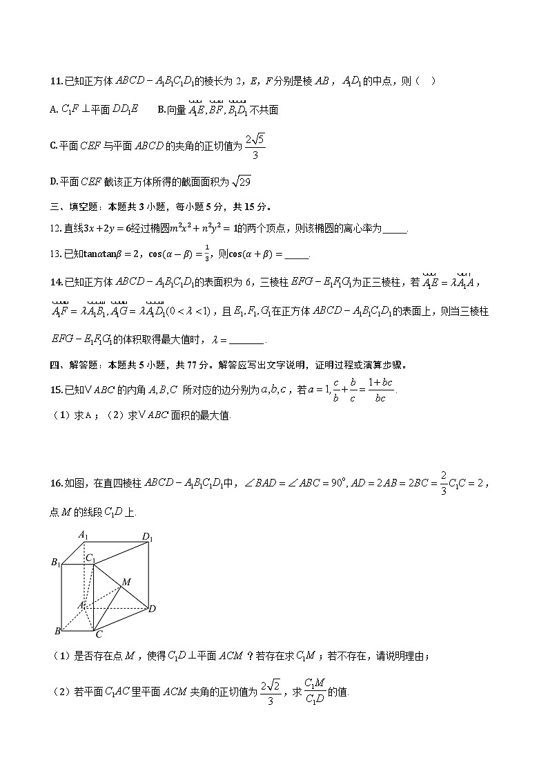 广东省广州市真光中学2024-2025学年高三下学期一模适应性考试数学试题第3页