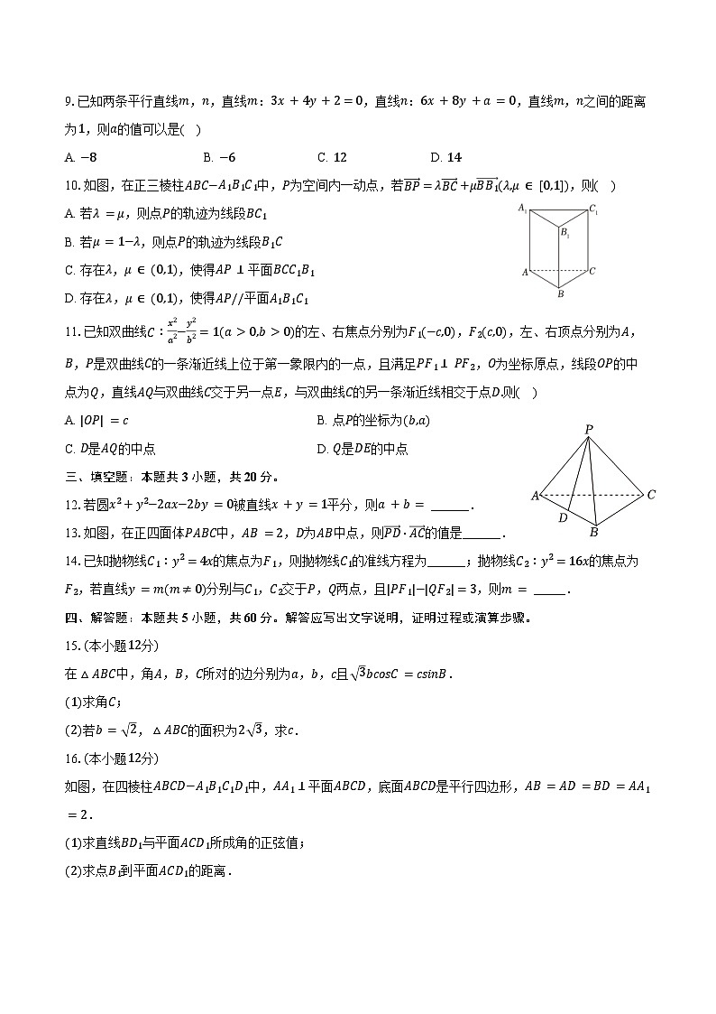 2024-2025学年辽宁省朝阳市建平实验中学高二（上）期末数学试卷（含答案）第2页