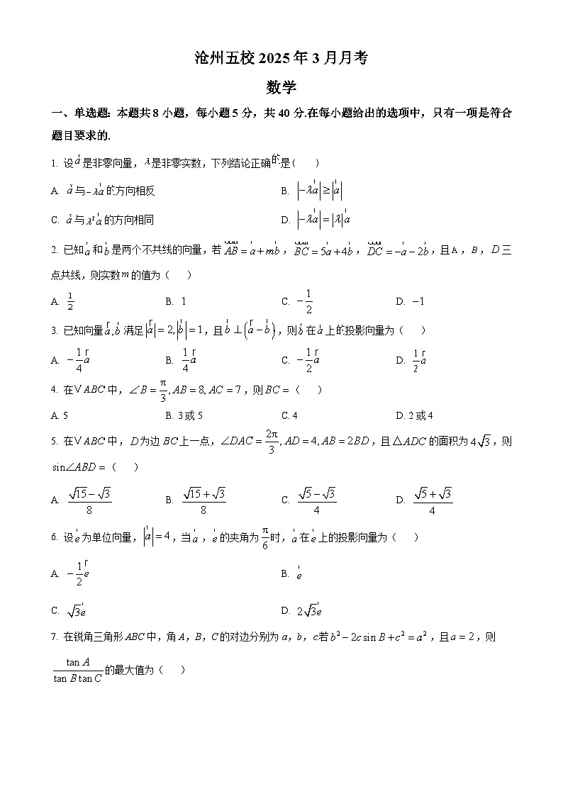 河北省沧州市沧州五校2024-2025学年高一下学期3月月考数学试题（原卷版）第1页