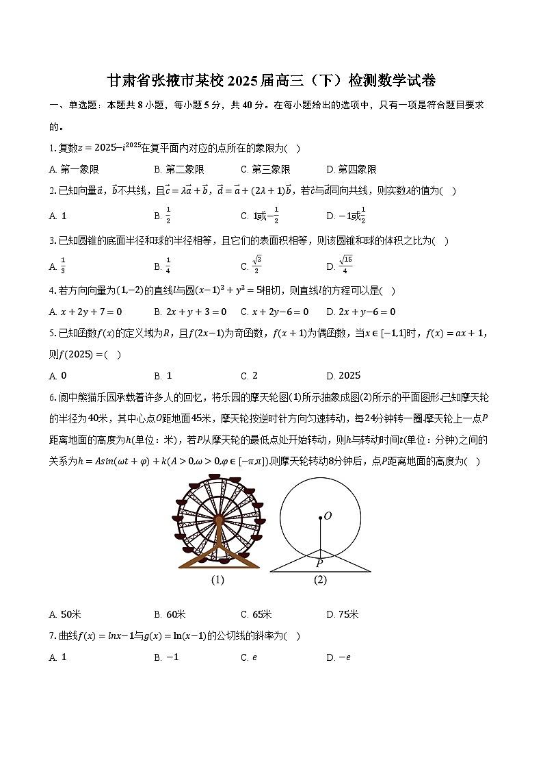 甘肃省张掖市某校2025届高三（下）检测数学试卷（含解析）第1页