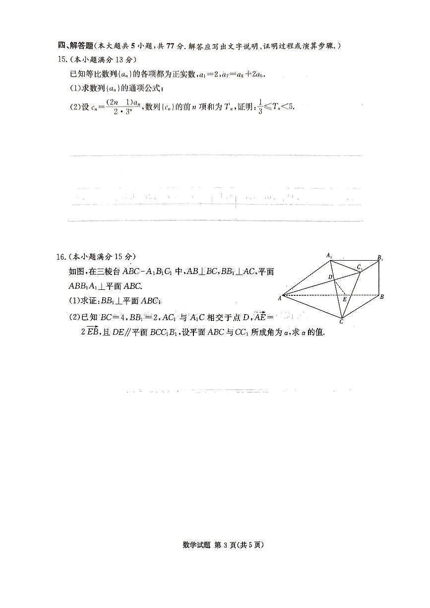 2024届湖南省炎德高三5月考前仿真二-数学试卷（含答案）第3页