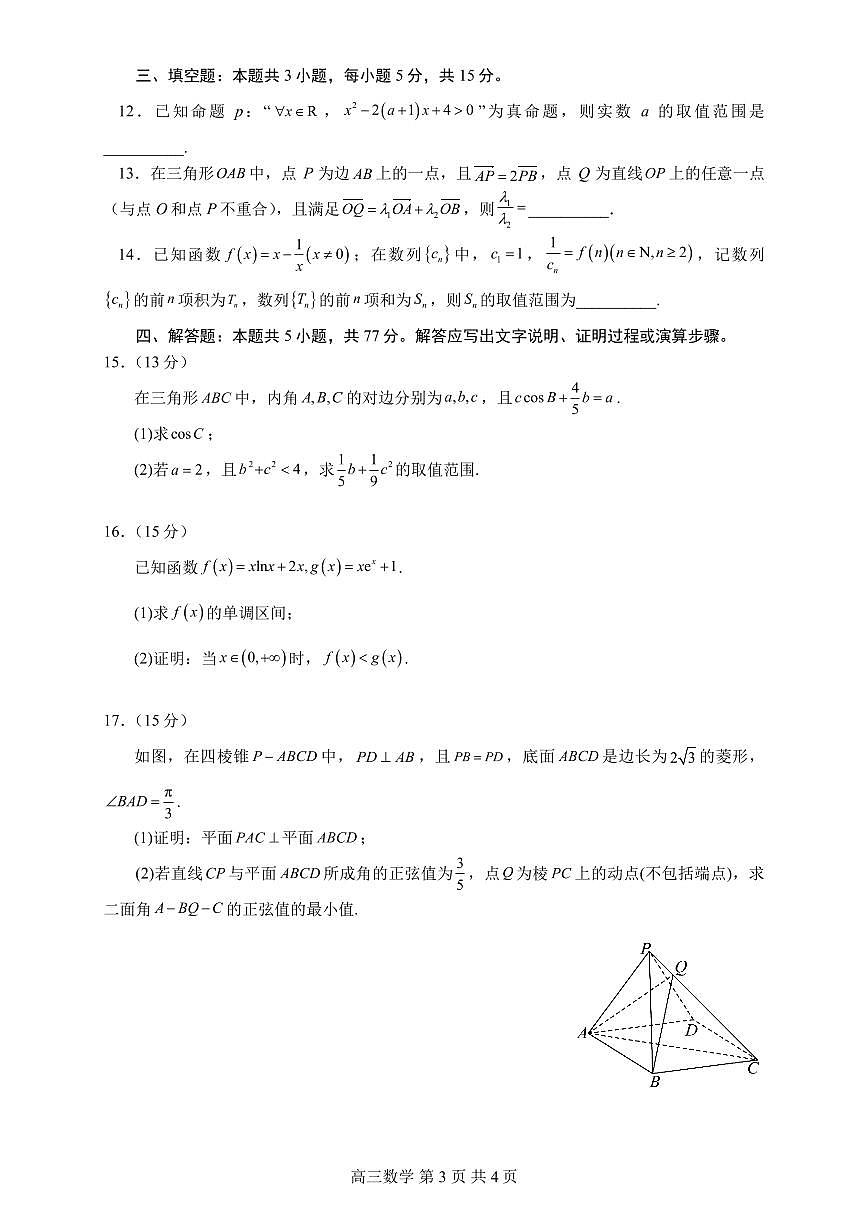 山东省名校联盟2024-2025学年高三上学期1月期末考试数学试卷（含答案）第3页