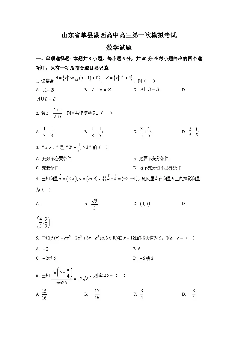 山东省单县湖西私立高级中学2024-2025学年高三下学期第一次模拟考试数学试题第1页