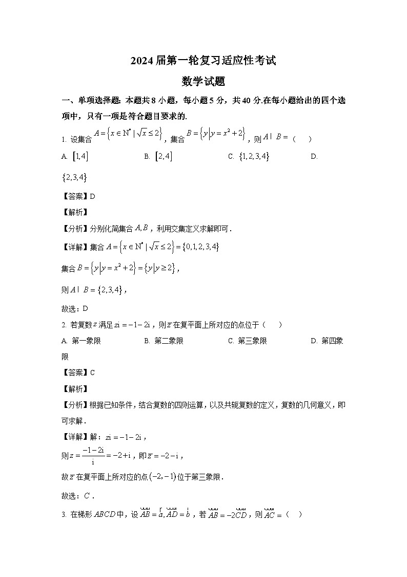 河南省信阳市新县高级中学2024届高三第一轮复习适应性考试数学试题（解析）第1页