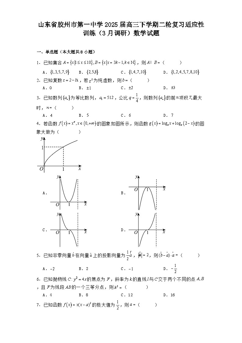 山东省胶州市第一中学2025届高三下学期二轮复习适应性训练（3月调研）数学试题（含解析）第1页