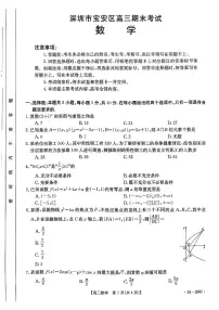 广东省深圳市宝安区2024届高三上学期期末考试 数学试卷(含答案)