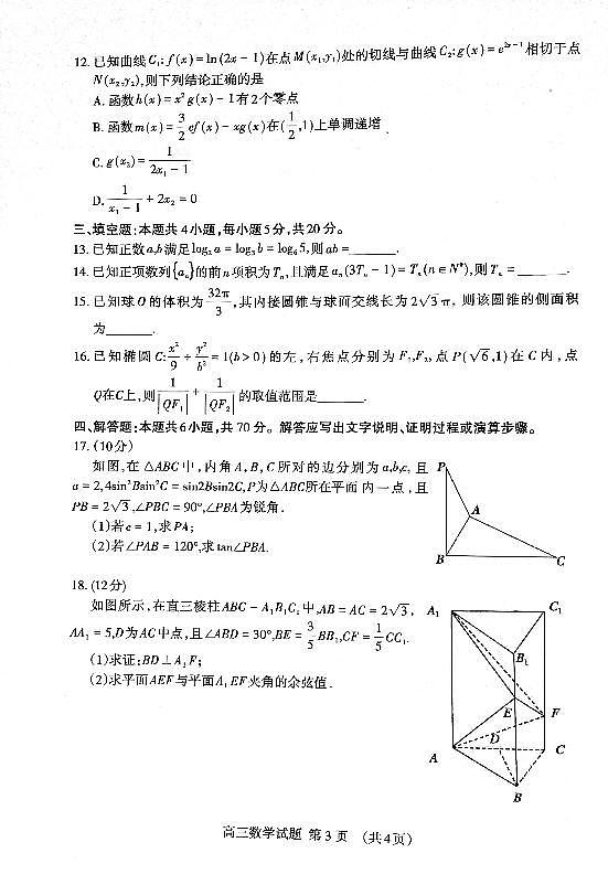 山东省泰安市2023—2024学年高三上学期期末考试数学试卷（含答案）第3页