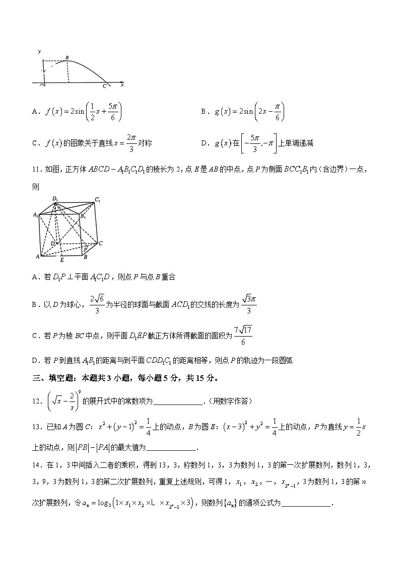 九师联盟2024届高三上学期1月质量检测试数学试卷（含答案）第3页