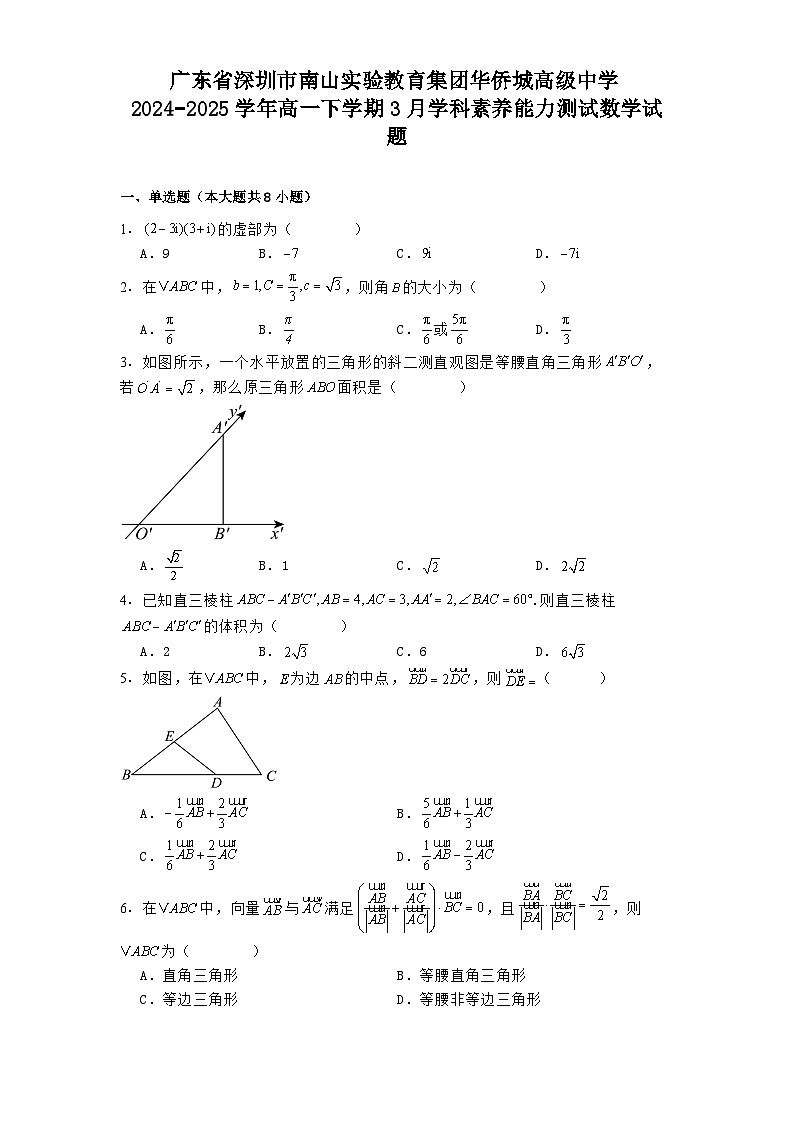 广东省深圳市南山实验教育集团华侨城高级中学2024−2025学年高一下学期3月学科素养能力测试数学试题（含解析）第1页