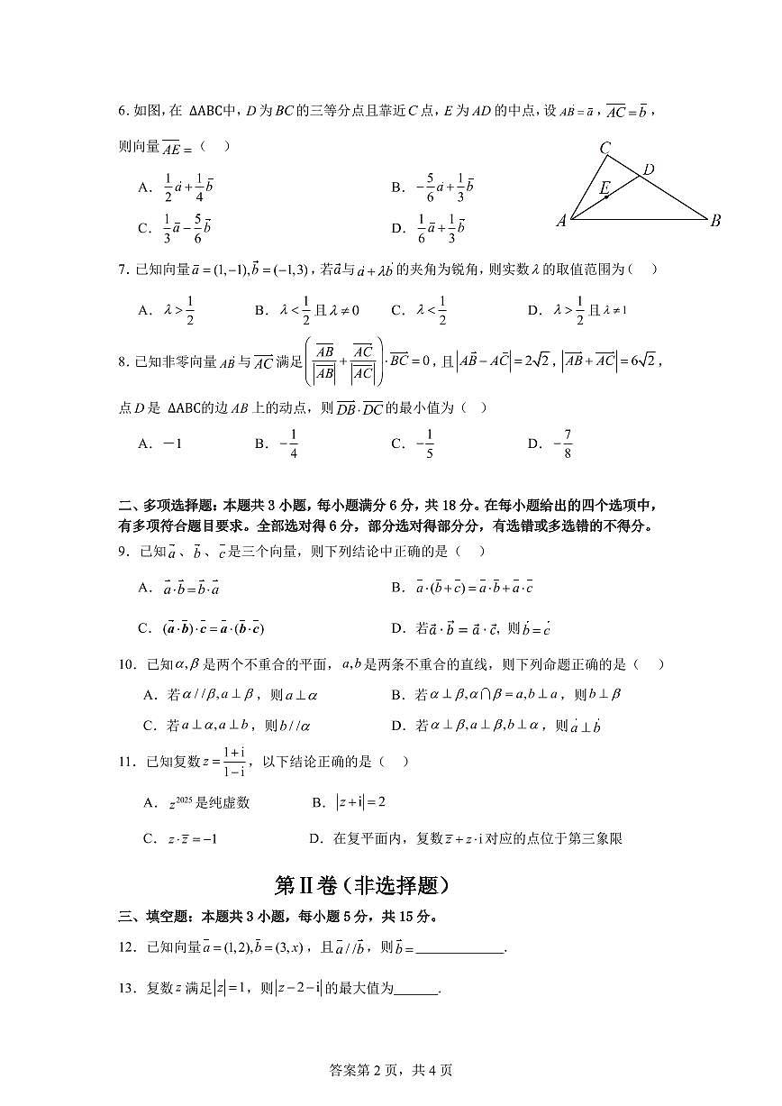 深圳外国语学校高中园2024-2025学年高一下学期期中考试数学试卷（含答案）第2页