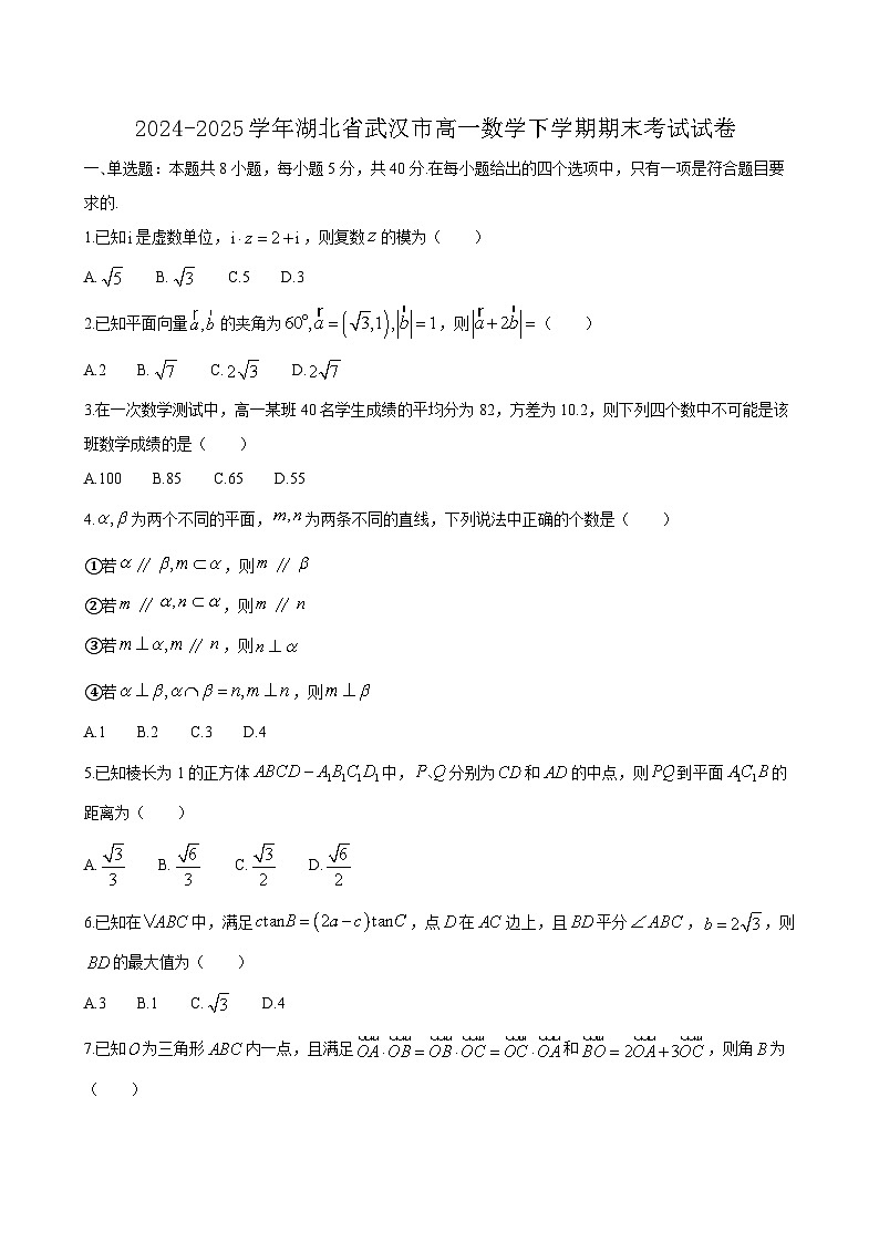 2024-2025学年湖北省武汉市高一数学下学期期末考试试卷1（附答案）第1页