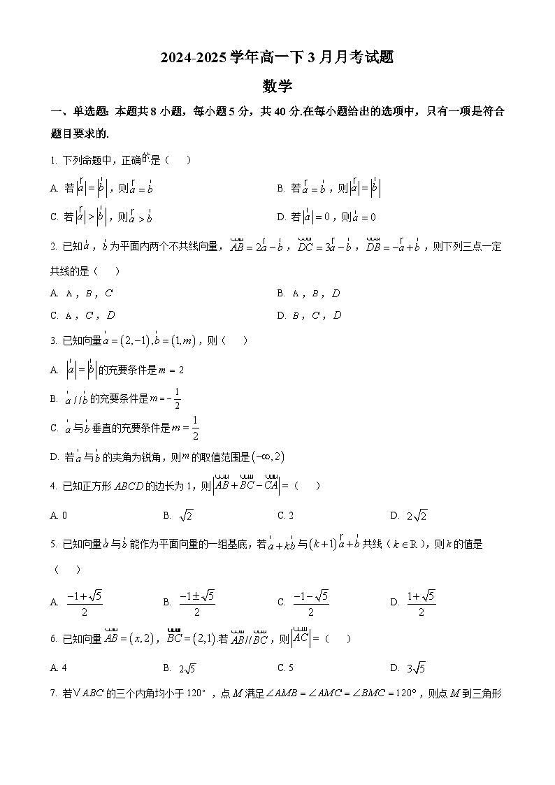 河北省沧州市肃宁县第一中学2024-2025学年高一下学期3月月考数学试题（原卷版+解析版）第1页