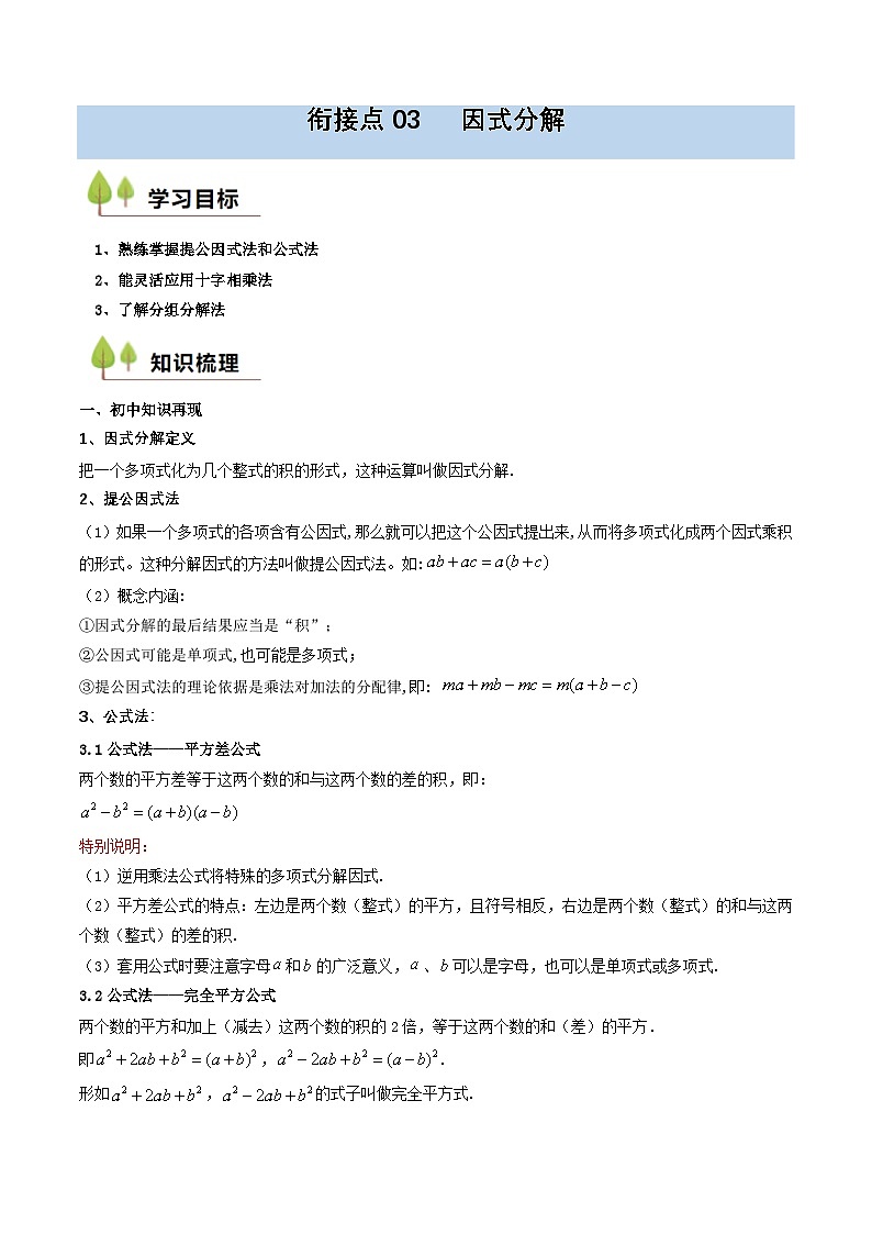 衔接点03 因式分解（原卷版）第1页