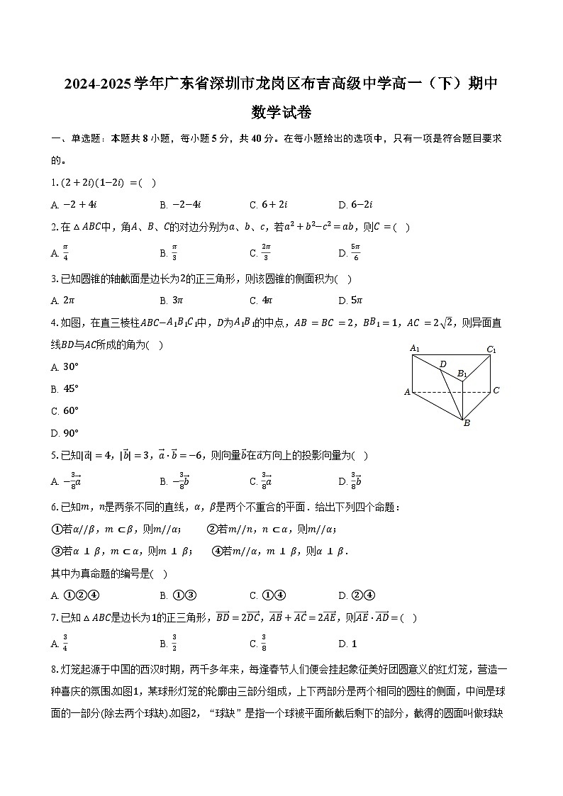 2024-2025学年广东省深圳市龙岗区布吉高级中学高一（下）期中数学试卷（含答案）第1页