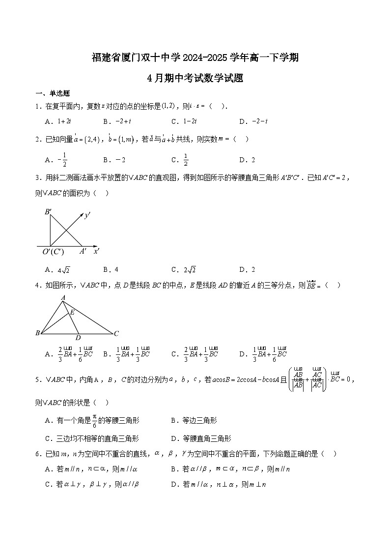 福建省厦门双十中学2024-2025学年高一下学期4月期中考试数学试卷（Word版附解析）第1页