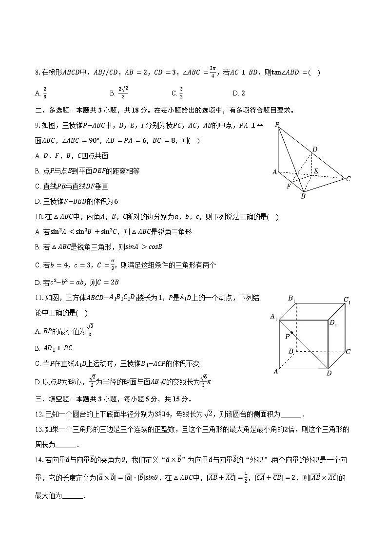 2024-2025学年广东省深圳高级中学高一（下）期中数学试卷（含答案）第2页