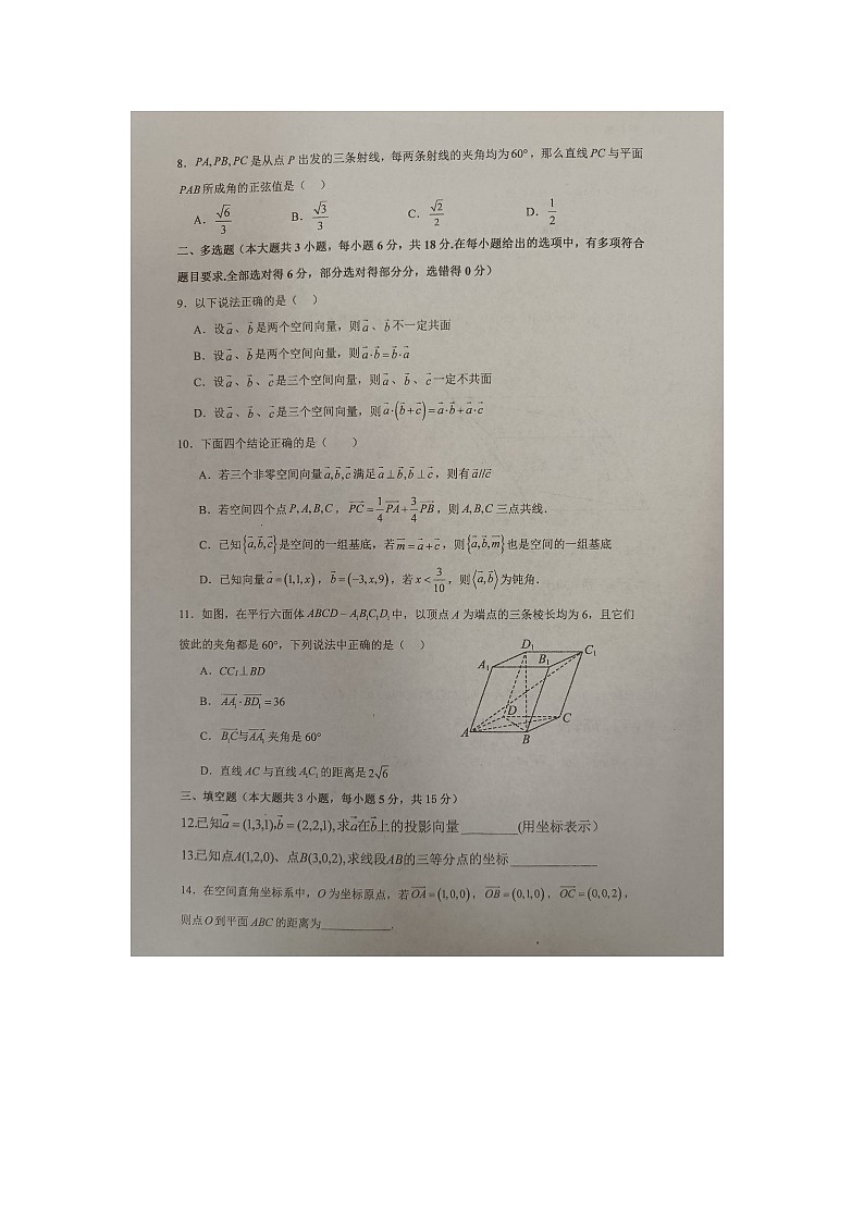 广西来宾市忻城县高级中学2024-2025学年高二上学期10月月考数学试题第2页