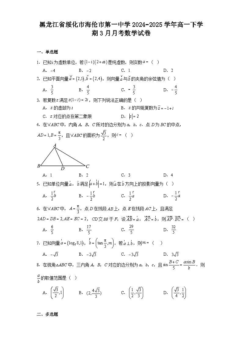 黑龙江省绥化市海伦市第一中学2024−2025学年高一下学期3月月考 数学试卷（含解析）第1页