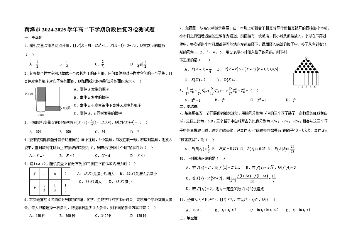 山东省菏泽市2024-2025学年高二下学期阶段性复习检测 数学试题（含解析）第1页