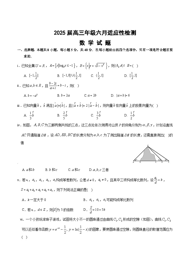 湖北省沙市中学2025届高三下学期6月适应性检测数学试卷（Word版附答案）第1页