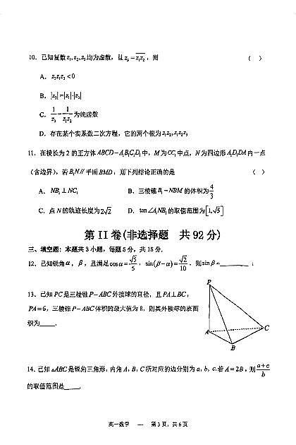 24年 沈阳五校联考 高一下 期末第3页