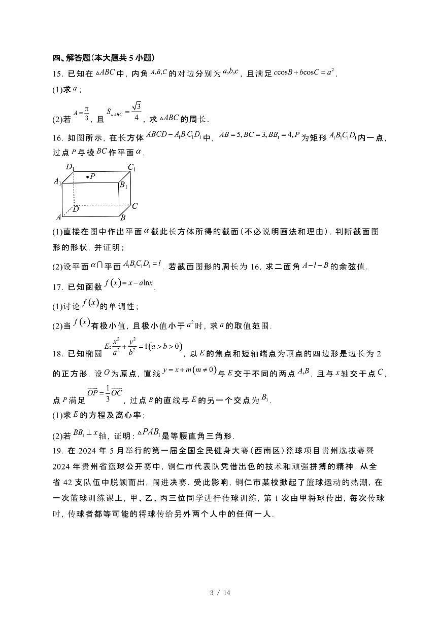贵州省铜仁市2023−2024学年高二下册7月期末质量监测数学试卷[附解析]第3页