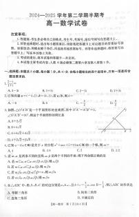 福建省龙岩市非一级达标校2024-2025学年高一下学期期中考试数学试题（PDF版附答案）