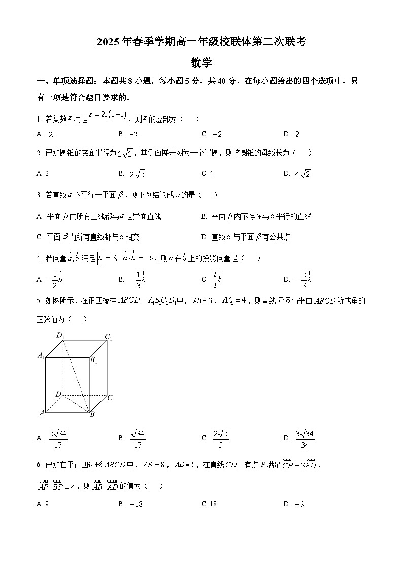 广西壮族自治区河池市河池十校协作体2024-2025学年高一下学期5月月考数学试题第1页
