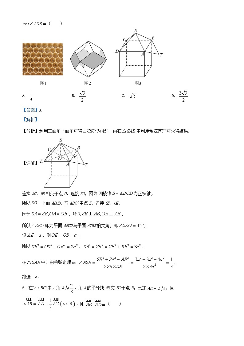 湖南省株洲市2024_2025学年高三数学上学期11月月考试卷含解析第3页