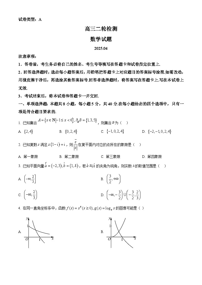 山东省泰安市2024-2025学年高三下学期二轮检测数学试题  Word版无答案第1页