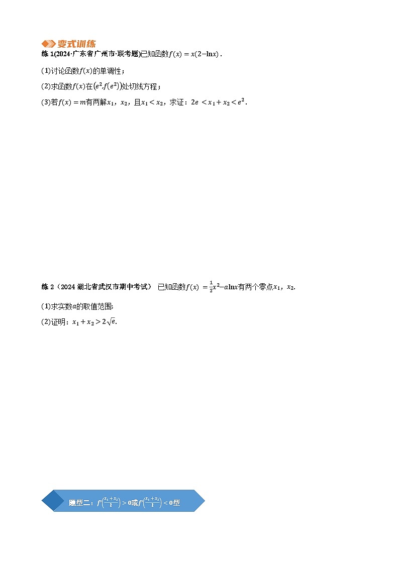 专题5 极值点偏移问题（学生版）第3页