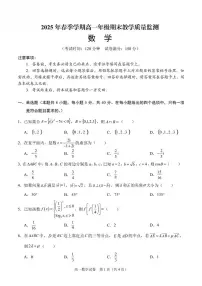 广西南宁市部分学校2024-2025学年高一下学期6月期末考试 数学 PDF版含解析含答案解析